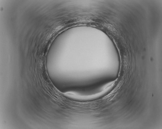 X0000057581257200510171659