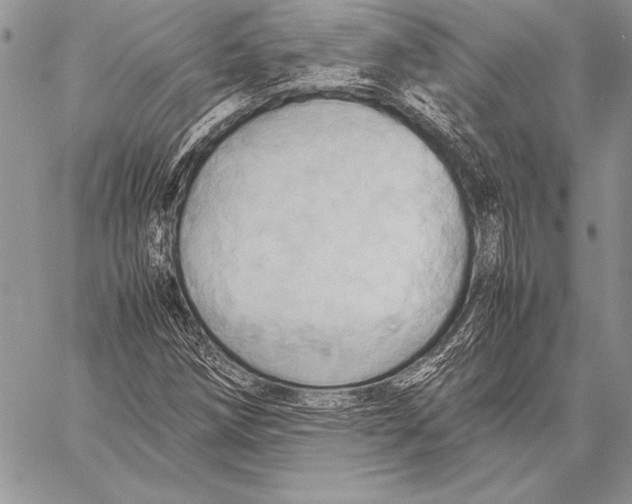 X0000057581258200510171659