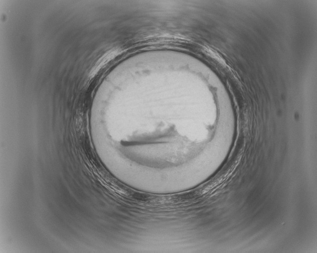 X0000057581259200510171659