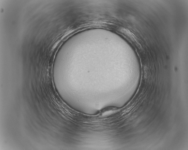 X0000057581260200510171659