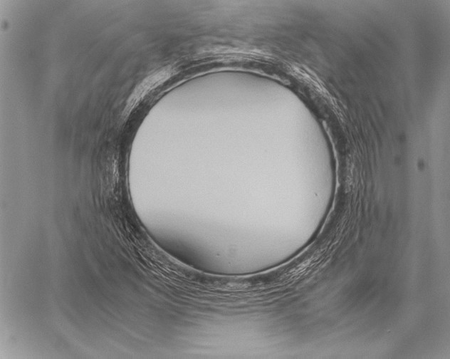 X0000057581261200510171659