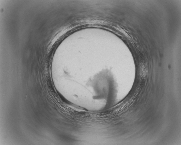 X0000057581263200510171659