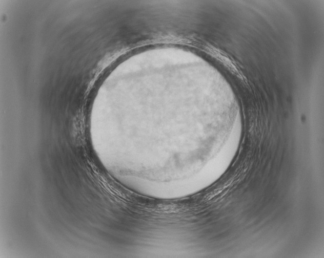 X0000057581264200510171659