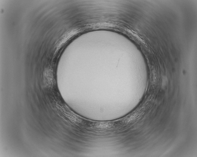 X0000057581266200510171659