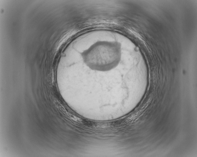 X0000057581267200510171659