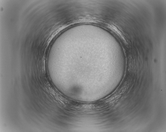 X0000057581268200510171659