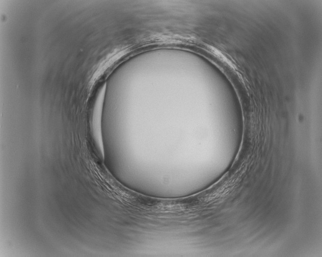 X0000057581269200510171659