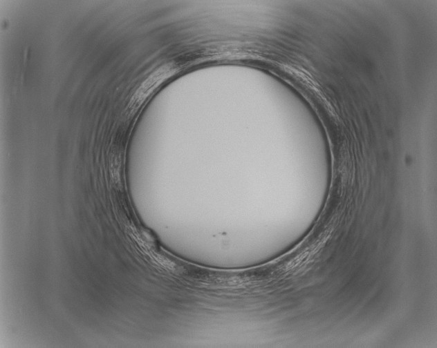 X0000057581273200510171658