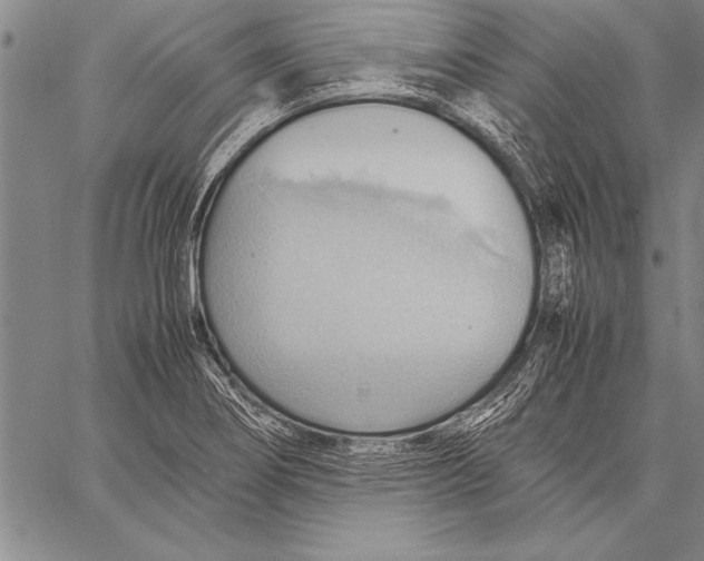 X0000057581274200510171658