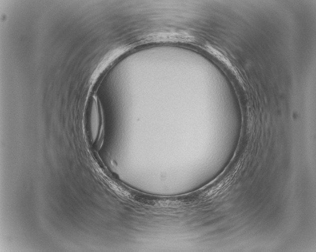 X0000057581277200510171658