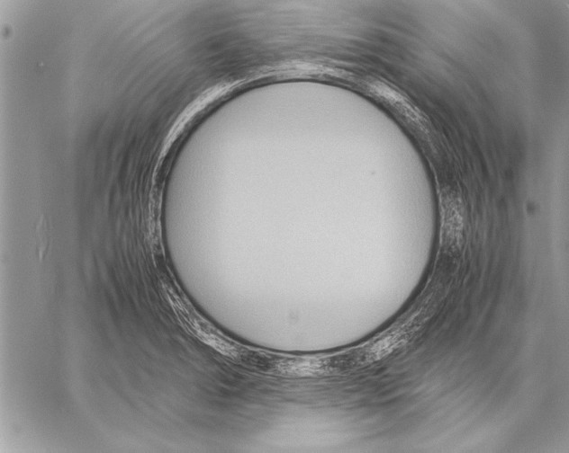 X0000057581278200510171658