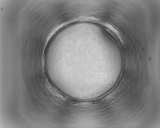 X0000057581280200510171658