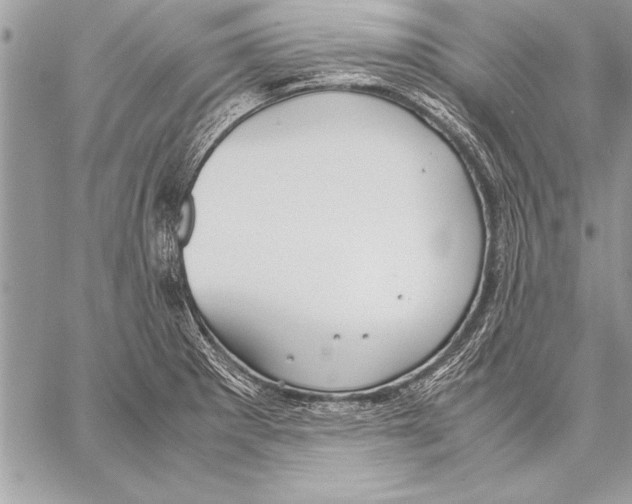 X0000057581281200510171658