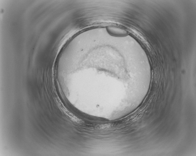 X0000057581283200510171658