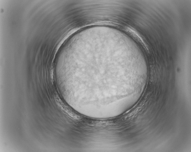 X0000057581284200510171658