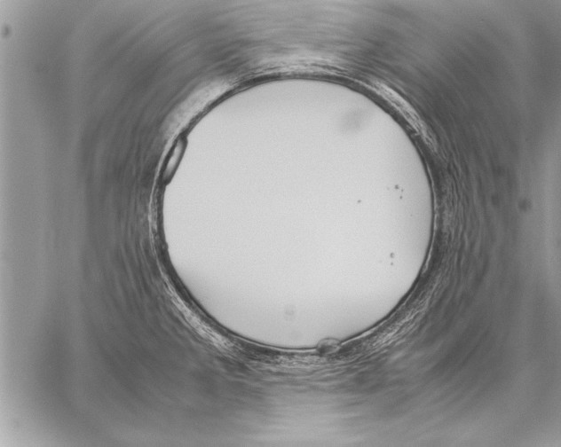 X0000057581285200510171658