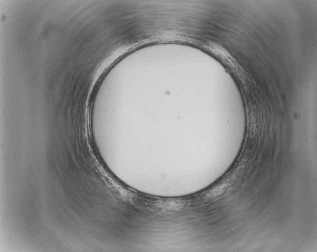 X0000057581286200510171658