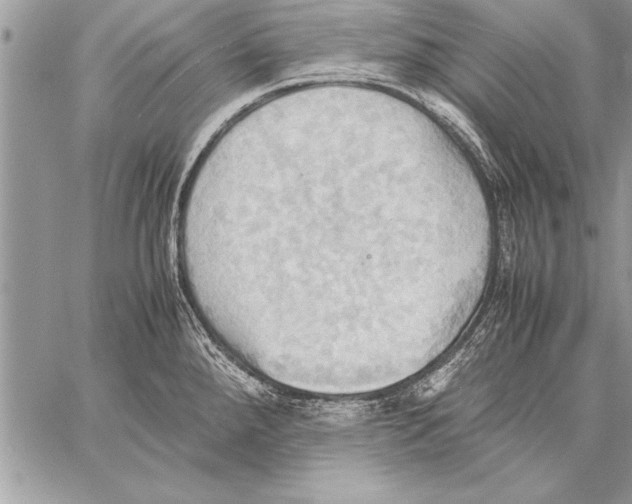 X0000057581288200510171658