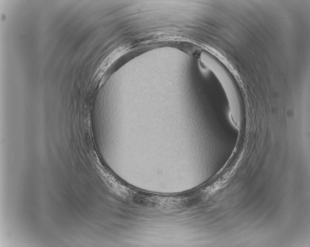 X0000057581289200510171658