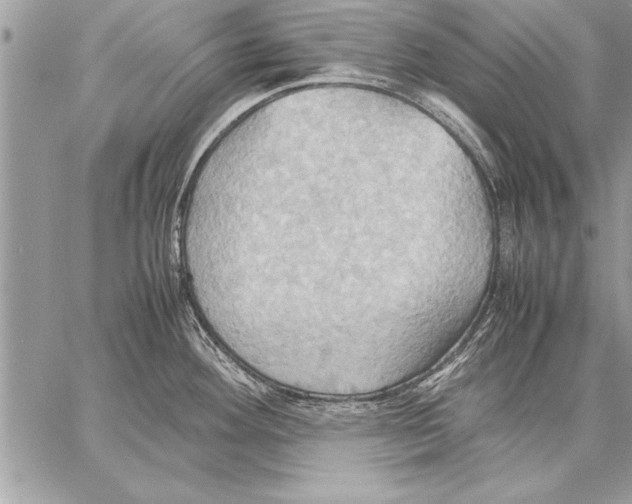 X0000057581292200510171658