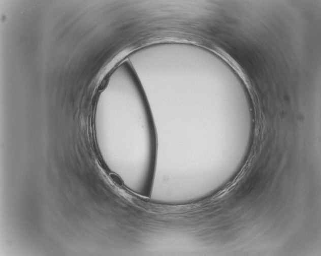 X0000057581293200510171658