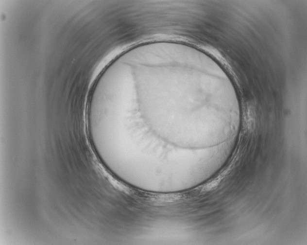 X0000057581294200510171658