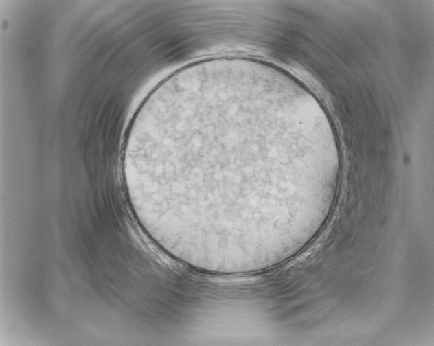 X0000057581296200510171658