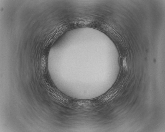 X0000057581299200510171657