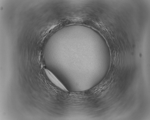 X0000057581301200510171657