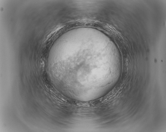 X0000057581302200510171657