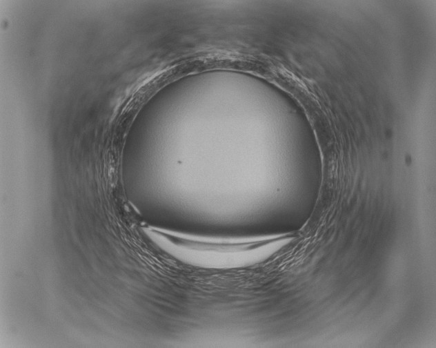 X0000057581303200510171657