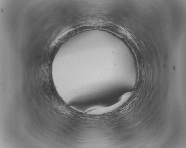 X0000057581304200510171657