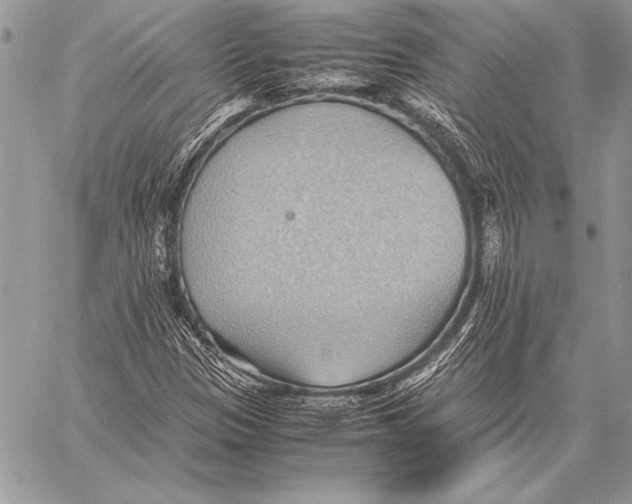 X0000057581305200510171657