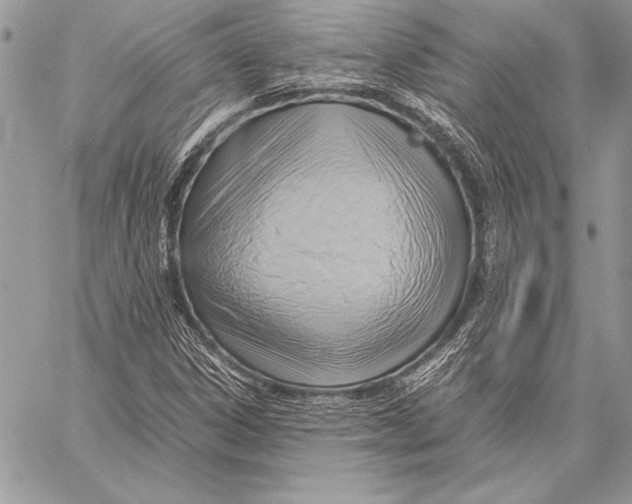 X0000057581306200510171657