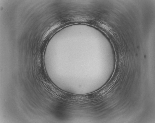 X0000057581307200510171657