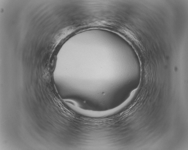 X0000057581308200510171657