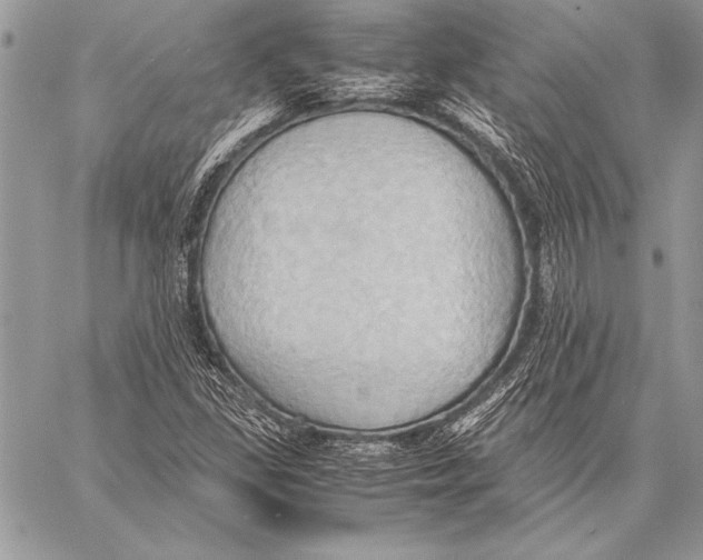 X0000057581309200510171657