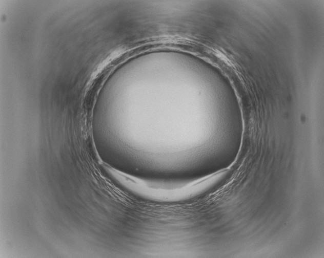 X0000057581310200510171657