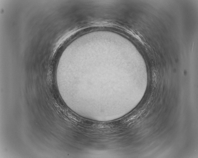 X0000057581311200510171658