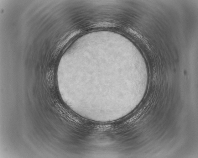 X0000057581313200510171658