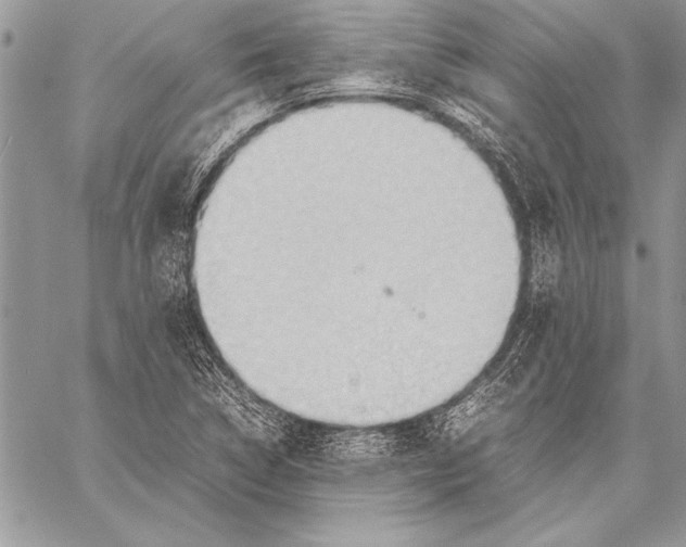 X0000057581314200510171658