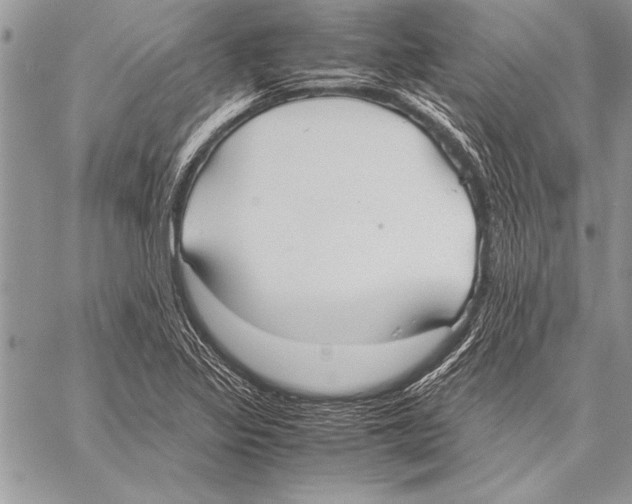 X0000057581317200510171658