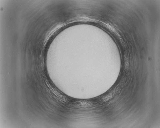 X0000057581318200510171658