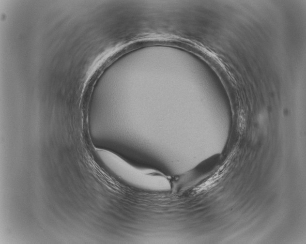 X0000057581319200510171658