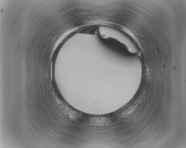 X0000057581323200510171658