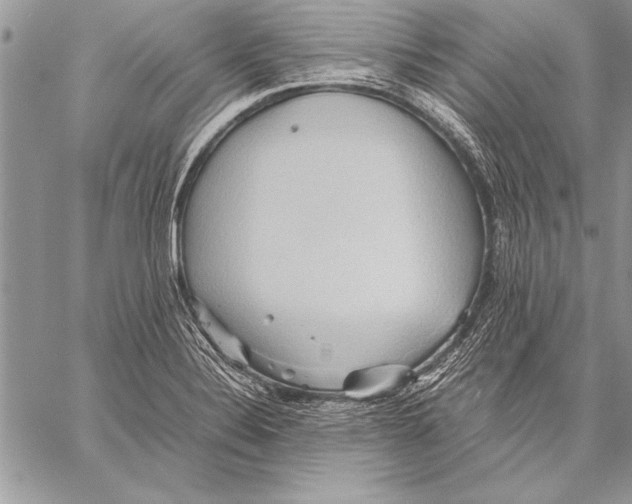 X0000057581324200510171658