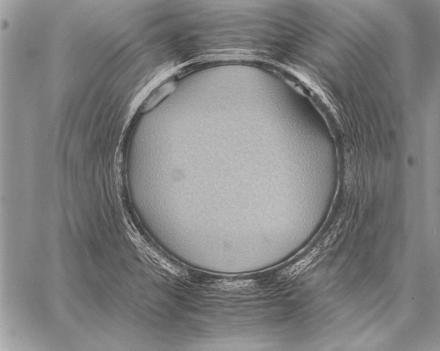 X0000057581325200510171658