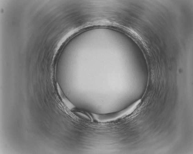 X0000057581326200510171658