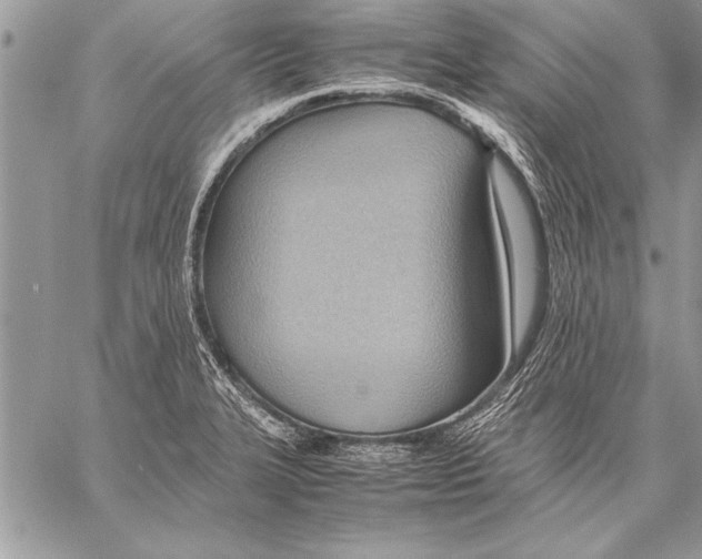 X0000057581327200510171658