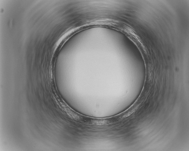 X0000057581328200510171658